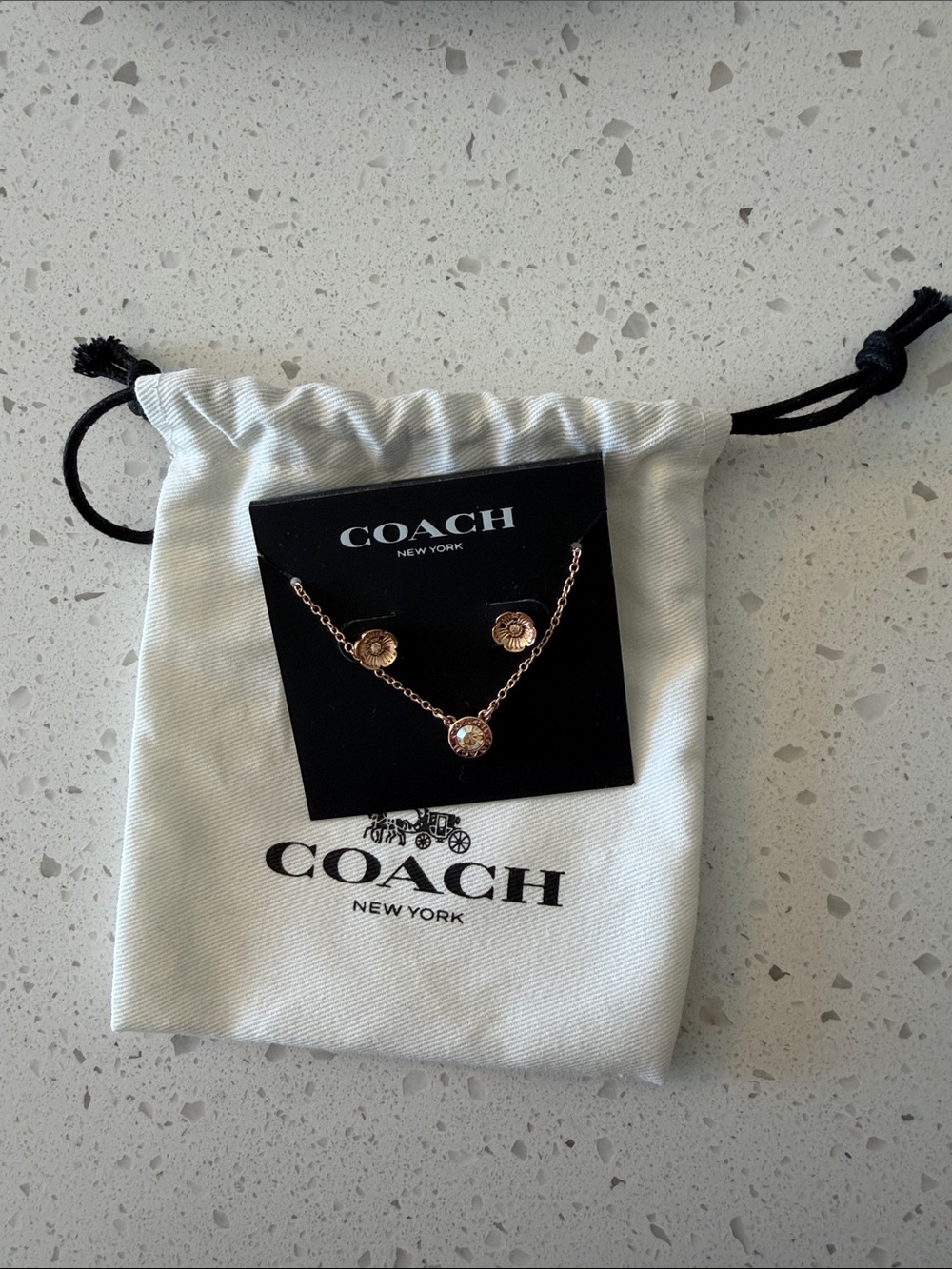 Coach Rose Gold Floral Pendant Necklace and Stud Earrings
